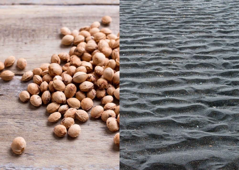 Chery Pits Vs Lava Sand Which Is The Better Heating Pad? Lavayoo