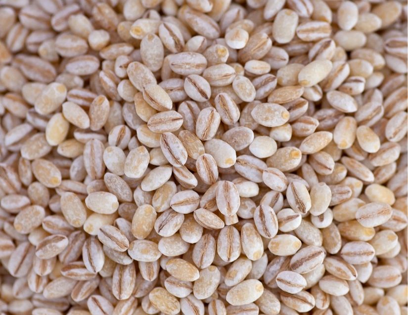 Wheat vs Lava Sand: The Best For Your Heating Pad