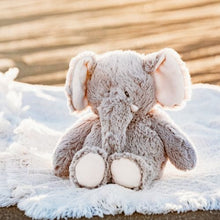 Load image into Gallery viewer, Lavabag Full Back and Elephant Lavababy Bundle | Lava Sand Filled, Weighted, Heating, and Cooling Pad and Plushie
